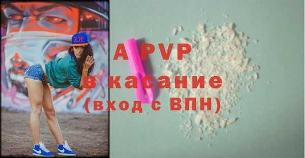 прущие грибы Пересвет