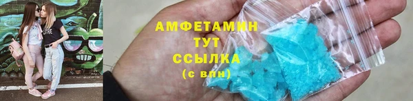 прущие грибы Пересвет