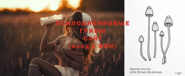 трава Переславль-Залесский