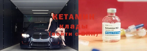 прущие грибы Пересвет
