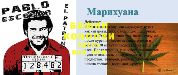 прущие грибы Пересвет