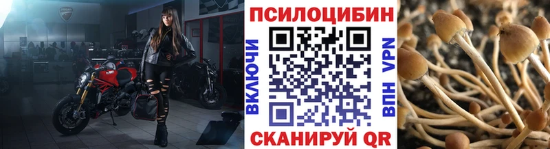 Галлюциногенные грибы Cubensis  Урай 
